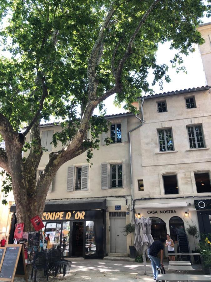 Avignon Pedestrian Area, Charming, 4 Persons Apartment Екстериор снимка