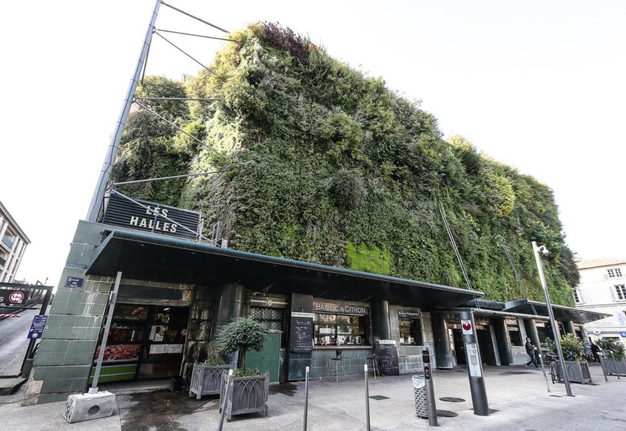 Avignon Pedestrian Area, Charming, 4 Persons Apartment Екстериор снимка
