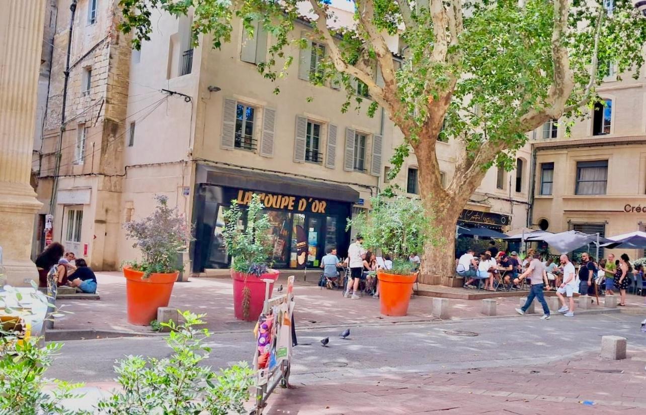 Avignon Pedestrian Area, Charming, 4 Persons Apartment Екстериор снимка