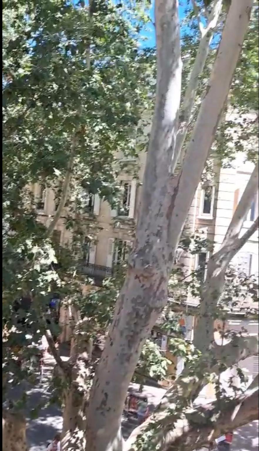 Avignon Pedestrian Area, Charming, 4 Persons Apartment Екстериор снимка
